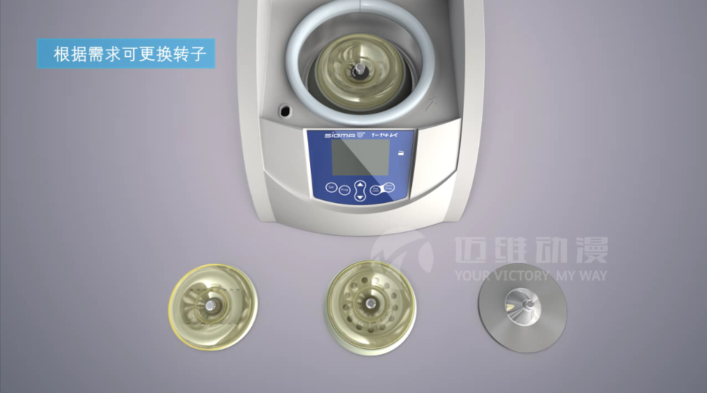 三維動制作價(jià)格