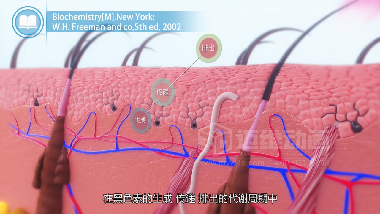 醫(yī)學(xué)科普從來不是 “天書”：三維動畫讓復(fù)雜科學(xué)原理輕松 get！(圖4)