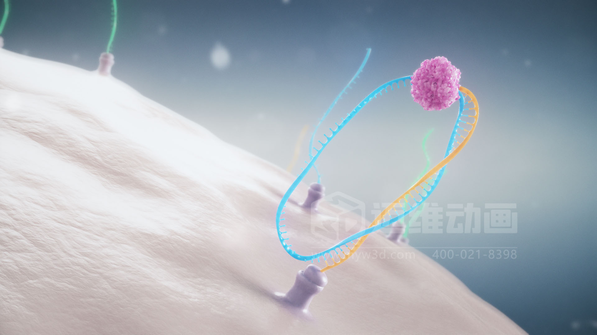 醫(yī)療分子生物學(xué)三維動(dòng)畫(圖3)