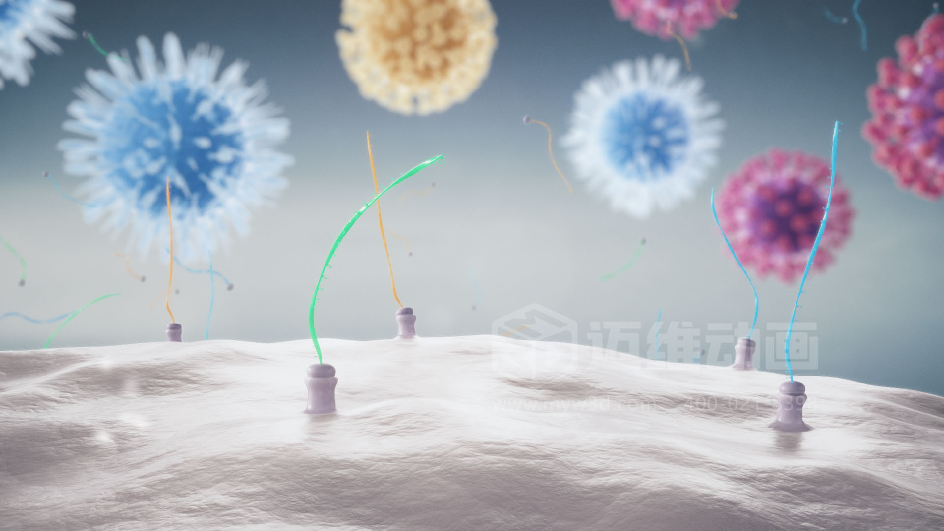 醫(yī)療分子生物學(xué)三維動(dòng)畫(圖2)